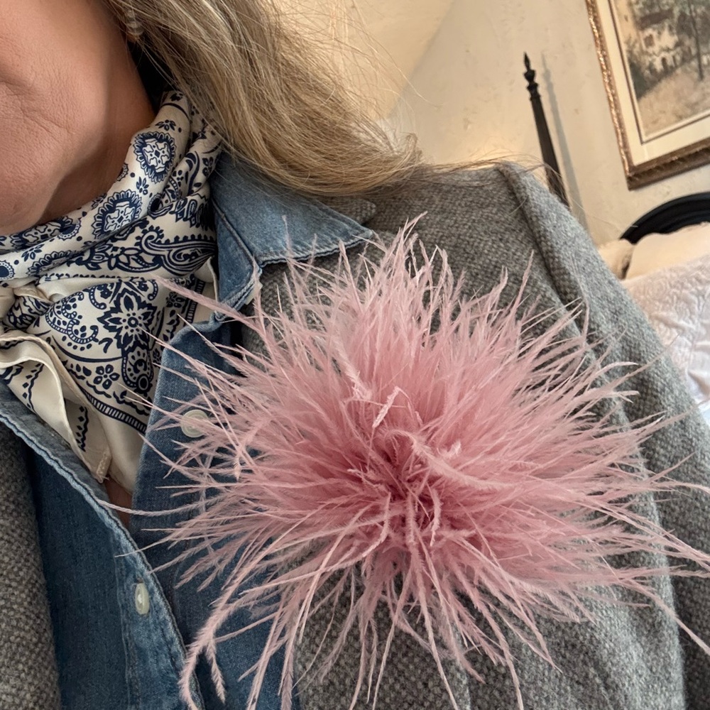 Fabulous Feather Brooches- several colors Black, Pink, Brown, Cream, Blue/Grey - Picture 6 of 8